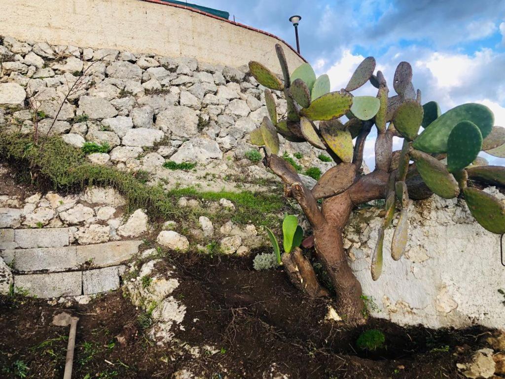 B&B Tenuta La Puntara Caltanissetta Bagian luar foto