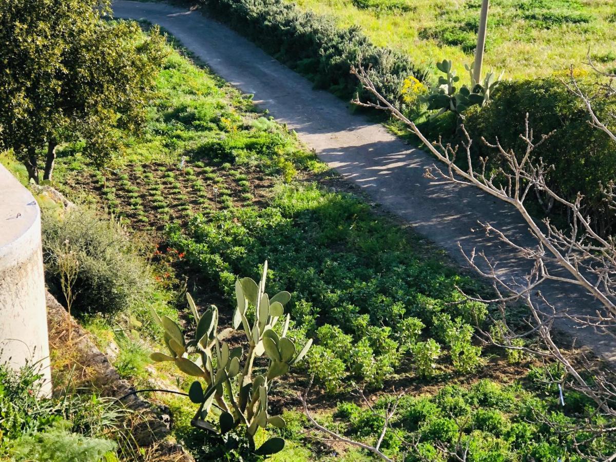 B&B Tenuta La Puntara Caltanissetta Bagian luar foto