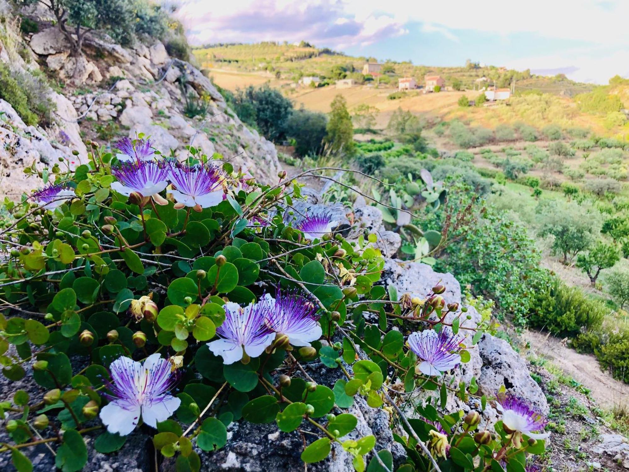 B&B Tenuta La Puntara Caltanissetta Bagian luar foto